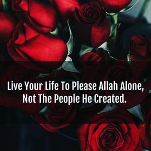 Meet your Posher, Karima